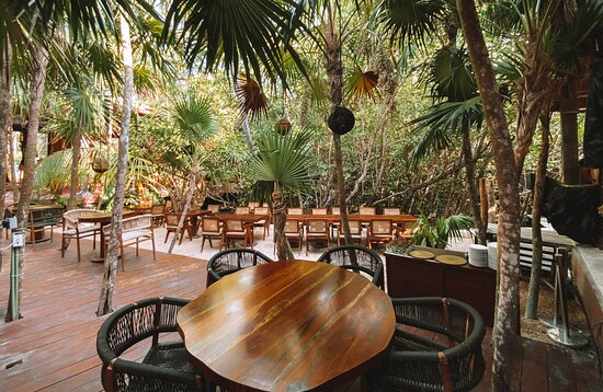 , IT Tulum